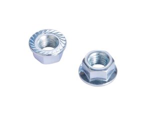 Hex Flange Nut (DIN 6923 / IFI 100) - Serrated Spin Lock Nut
