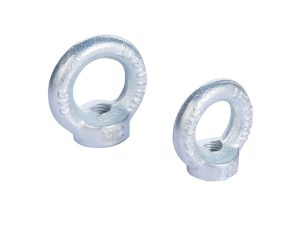 DIN 582 Lifting Eye Nut (C15E / Stainless Steel) - Metric Threaded Lifting Point