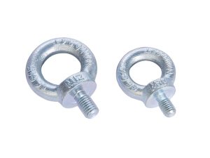 DIN 580 Lifting Eye Bolt (C15E / Stainless Steel) - Metric Threaded Lifting Point