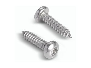 Stainless Steel Pan Head Self Tapping Screw (Torx Drive / DIN 7981) - 304/316 Grade