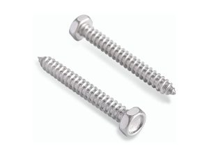Stainless Steel Hex Head Self Tapping Screw (DIN 7976 / ISO 1479) - 304/316 Grade